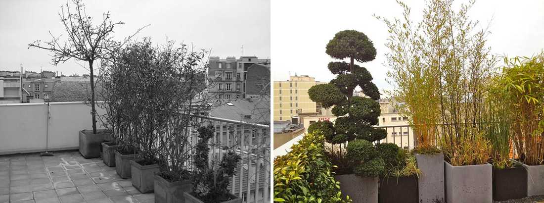 Avant - Après : Aménagement paysagé d'une terrasse avec vue à Bordeaux
