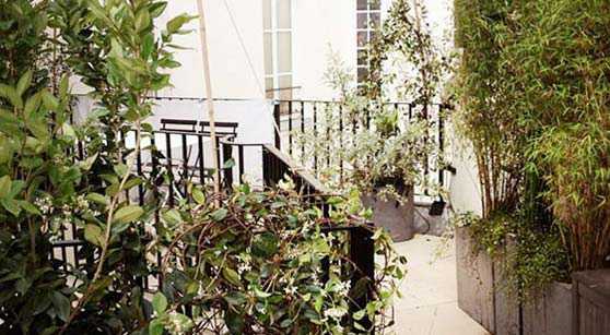 Photos avant - aprés de l'aménagement d'une terrasse à Bordeaux par un jardinier paysagiste