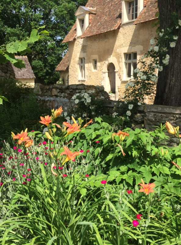 Fleurs d'orangés dans un jardin en Gironde