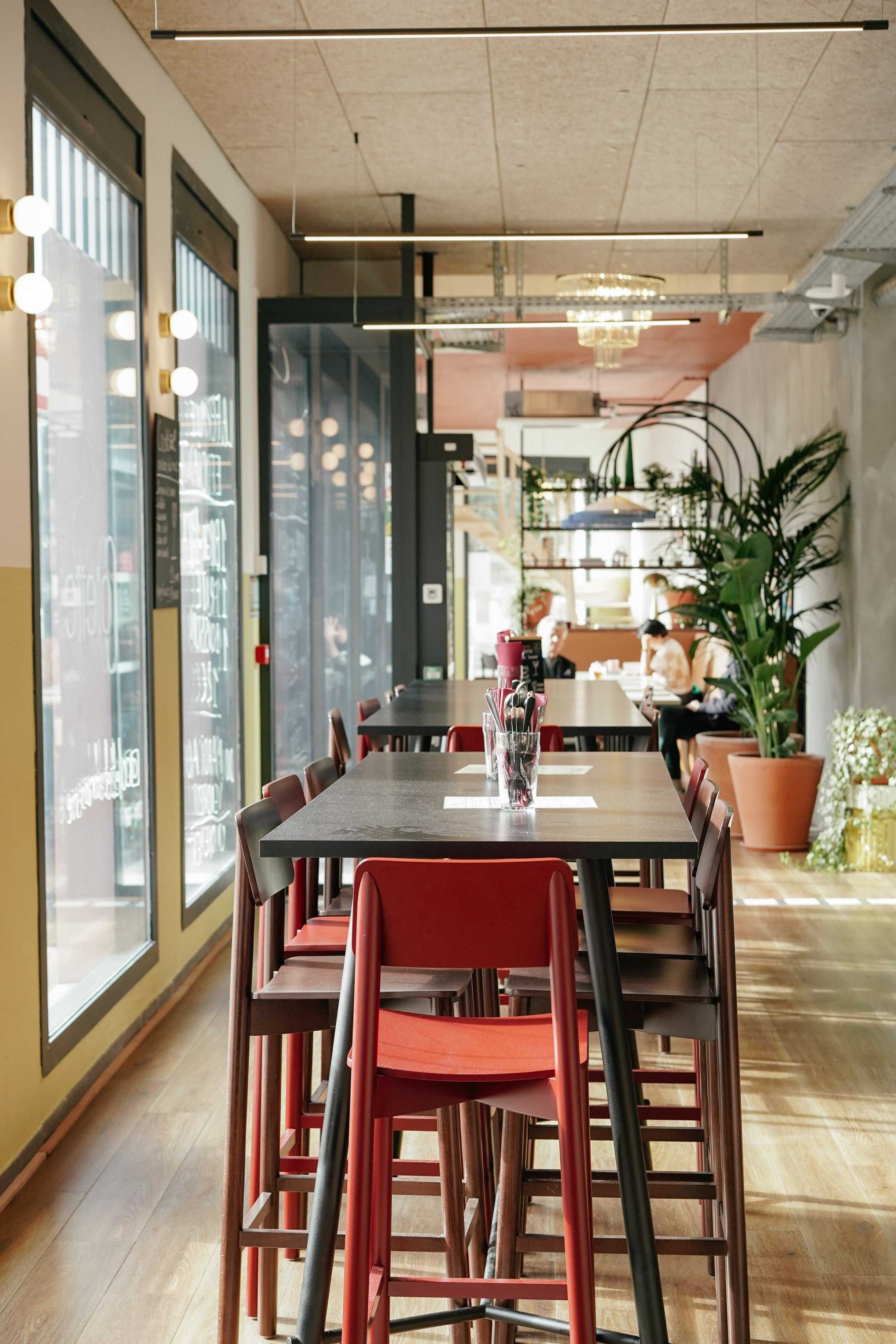 Interior design of a restaurant in Bordeaux