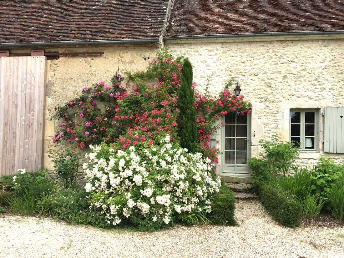 Jardin d'une maison ancienne à Bordeaux