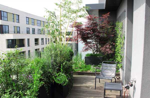 Aménagement paysager de la terrasse d'un penthouse à Bordeaux.