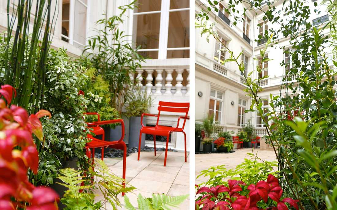 Aménagement paysager de la cour d'un hôtel particulier à Bordeaux