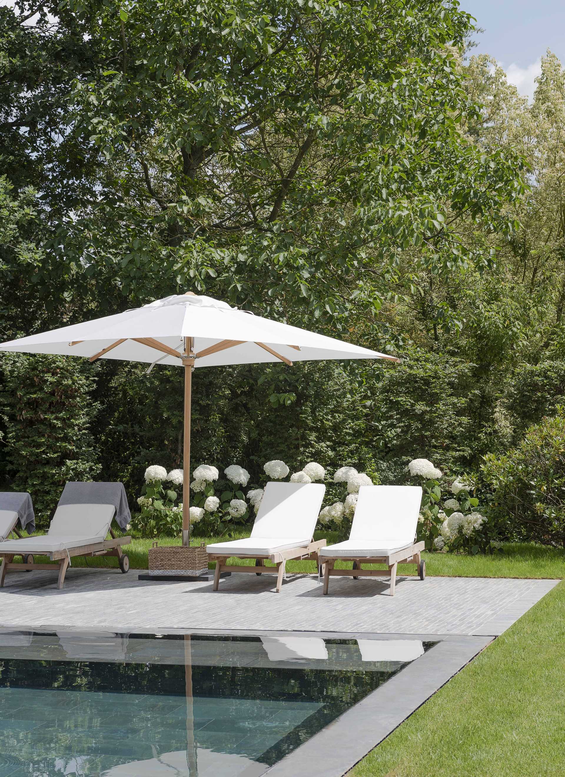 Jardin d'une maison de la région de Bordeaux aménagé par un architecte-paysagiste