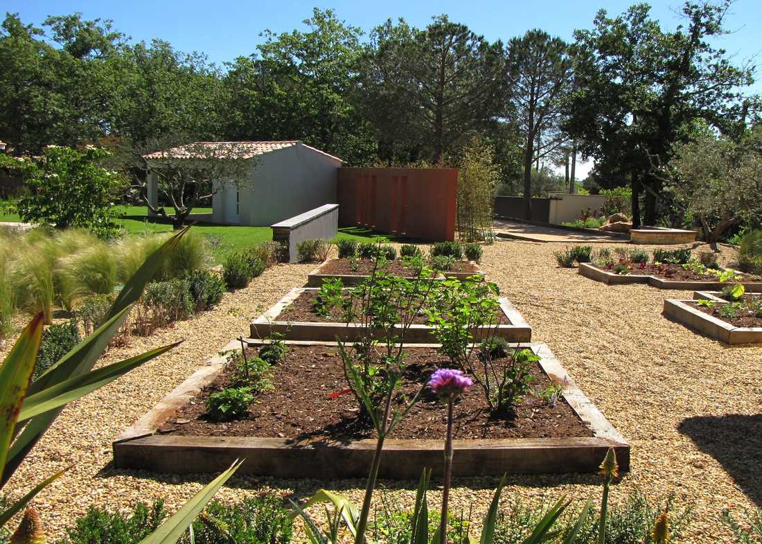 Potager méditerrannéen réalisé par un jardinier paysagiste à Bordeaux