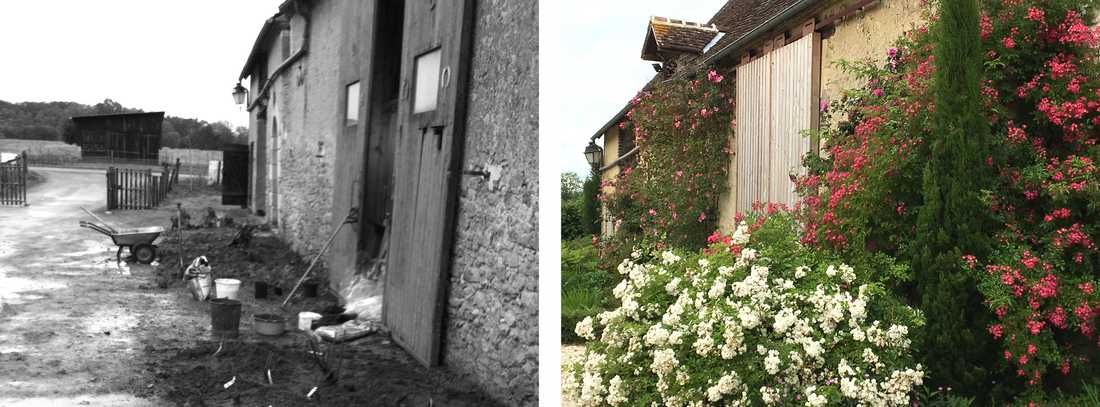 Avant-après : création d'un massif de fleurs